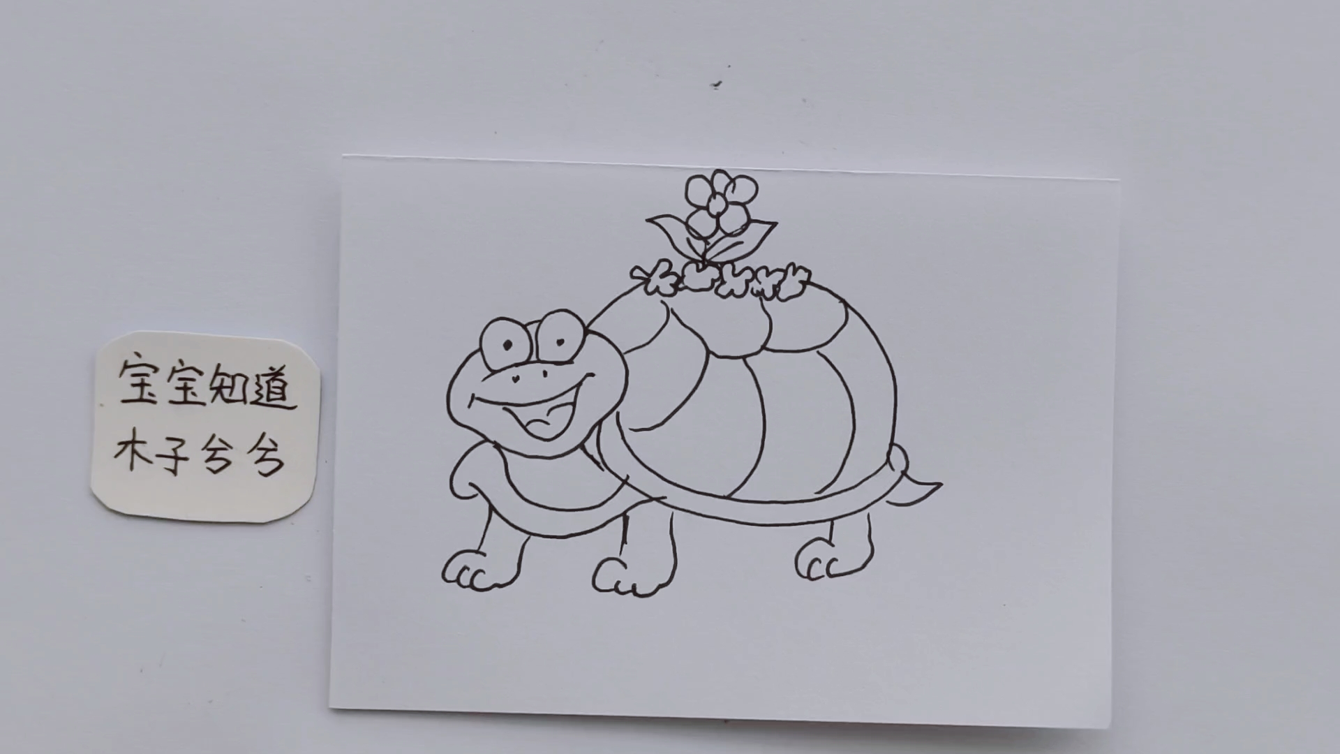 简笔画 如何画只背上开着花的乌龟