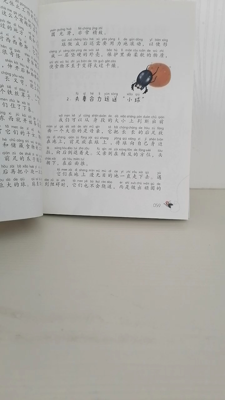 [朗读打卡]昆虫记之甲虫西西弗斯