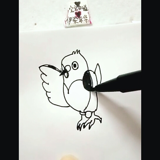 [才艺打卡]简笔画之宠物小精灵豆豆鸽