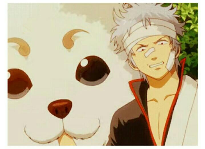 而那个永远不知道下一步会做啥,同样实力可爱的定春,开始一直没