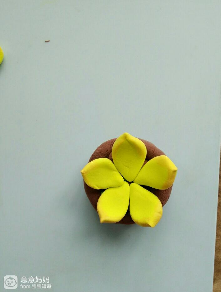 粘土多肉小摆件