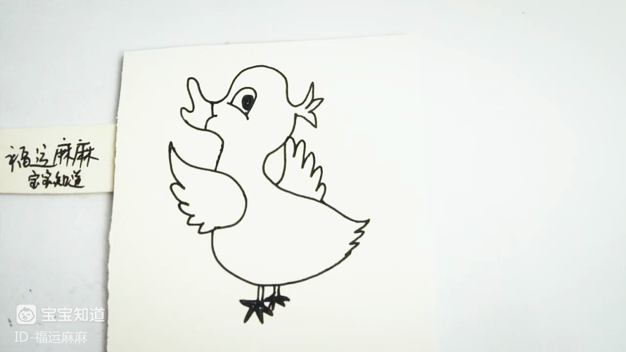 [才艺打卡]伸展翅膀的小鸭子