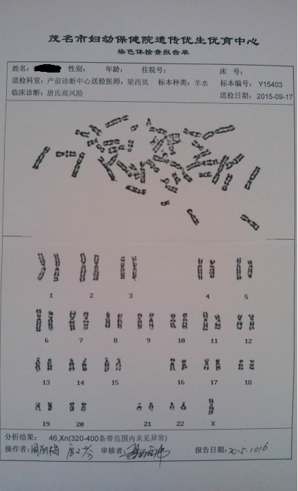 正常的染色体报告图解图片