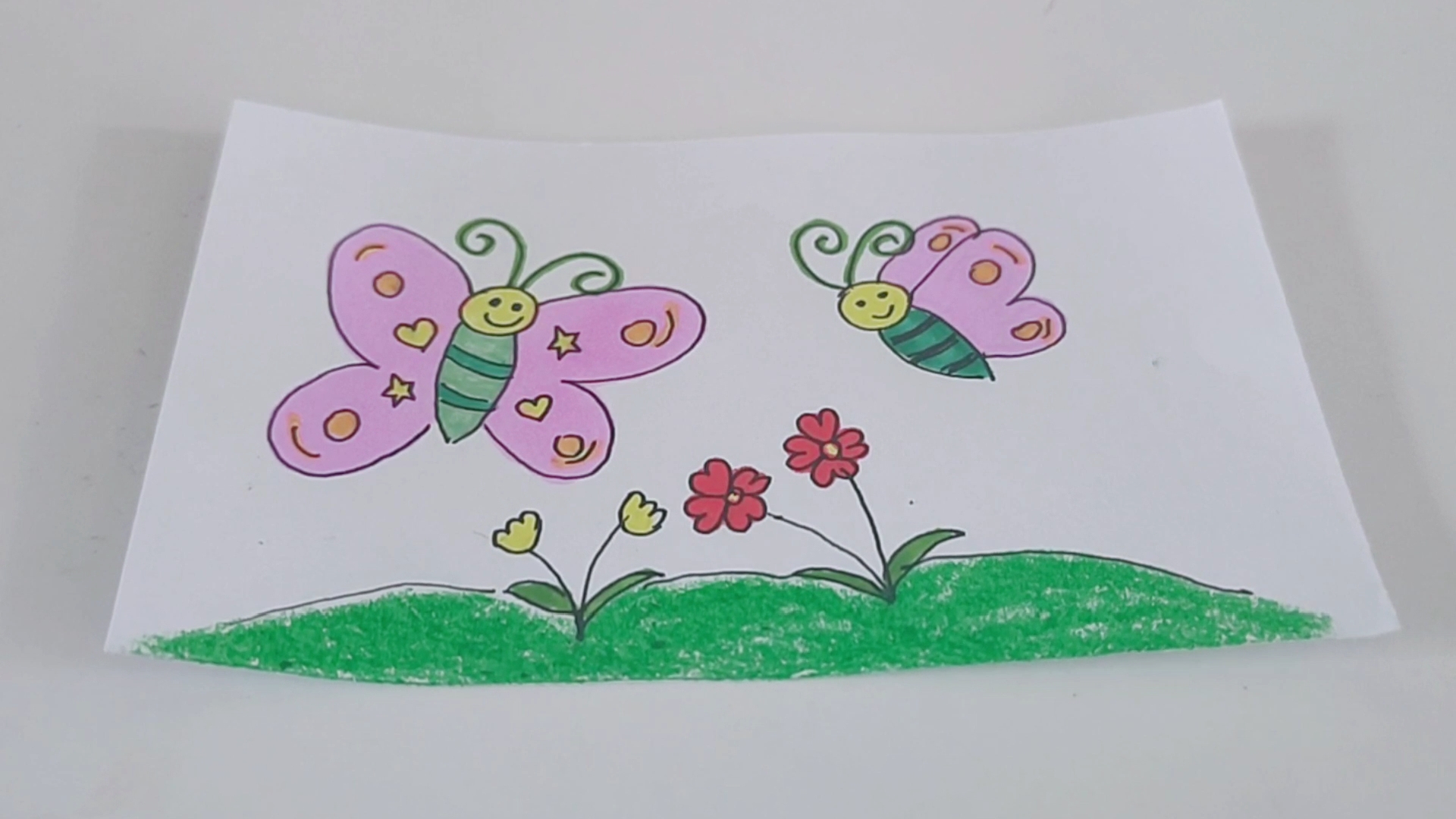 蝴蝶的简笔画采花图片
