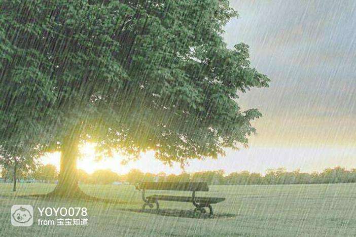 孕妇梦见下雨，梦境背后的深层含义与解读