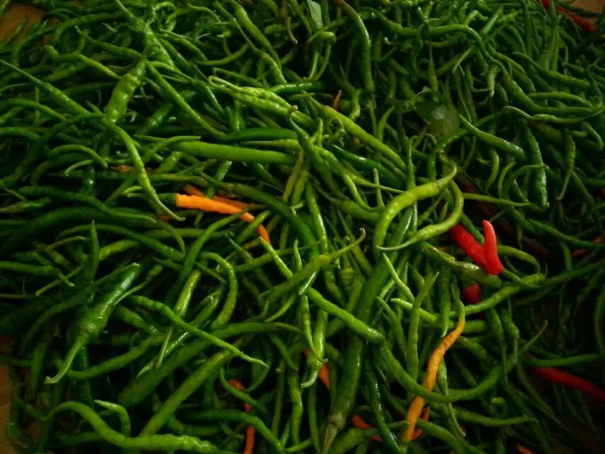 [湖南特色]绝代双椒