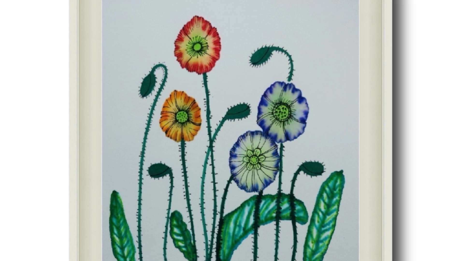 用水彩笔和生宣纸晕染的方法画盛开的虞美人,适合5 宝宝