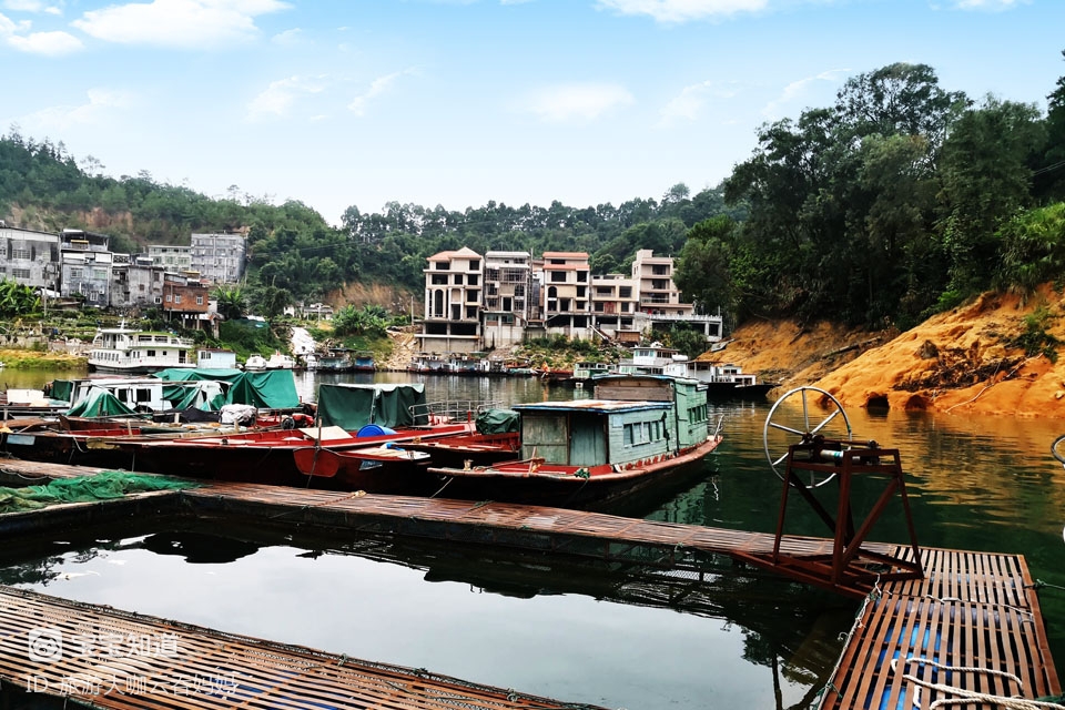 万绿湖的清晨小镇码头上的渔味