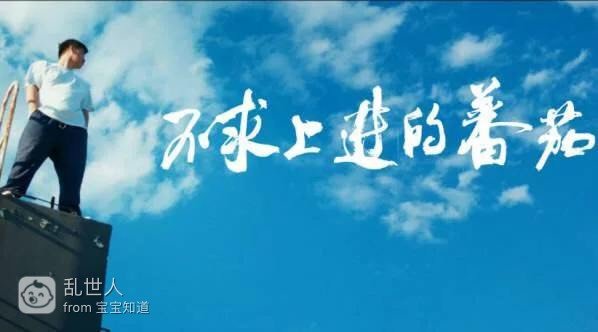 [感悟半生]不求上进的男人最可恨