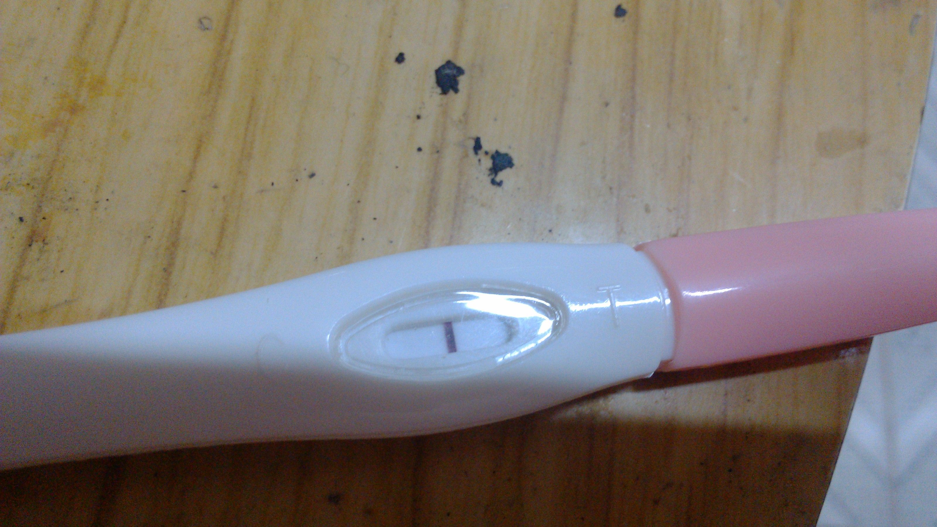 9月2号来的月经，9月16测得排卵，今天早晨用大卫早孕试纸测试，如下图，请专家解答一下怀孕几率大吗 - 百度宝宝知道