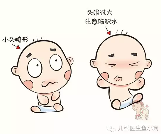 粑粑麻麻测量时,站在宝宝前面或右方,用软尺从宝宝头部右侧眉弓上缘经