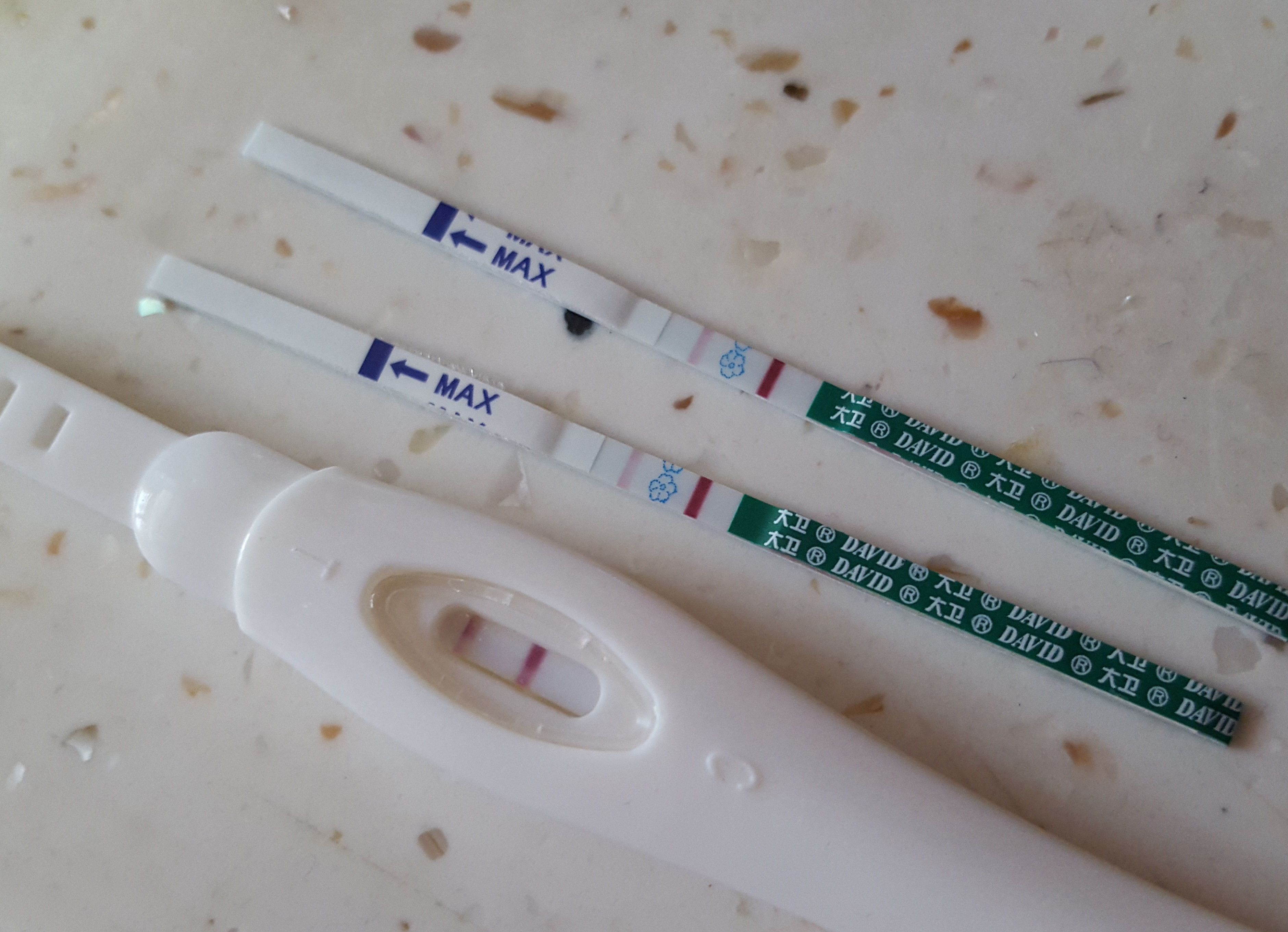 请问早早孕测试这样,是有可能怀孕吗?