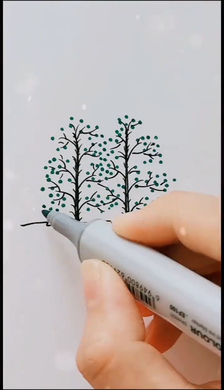 两棵树简笔画彩色图片