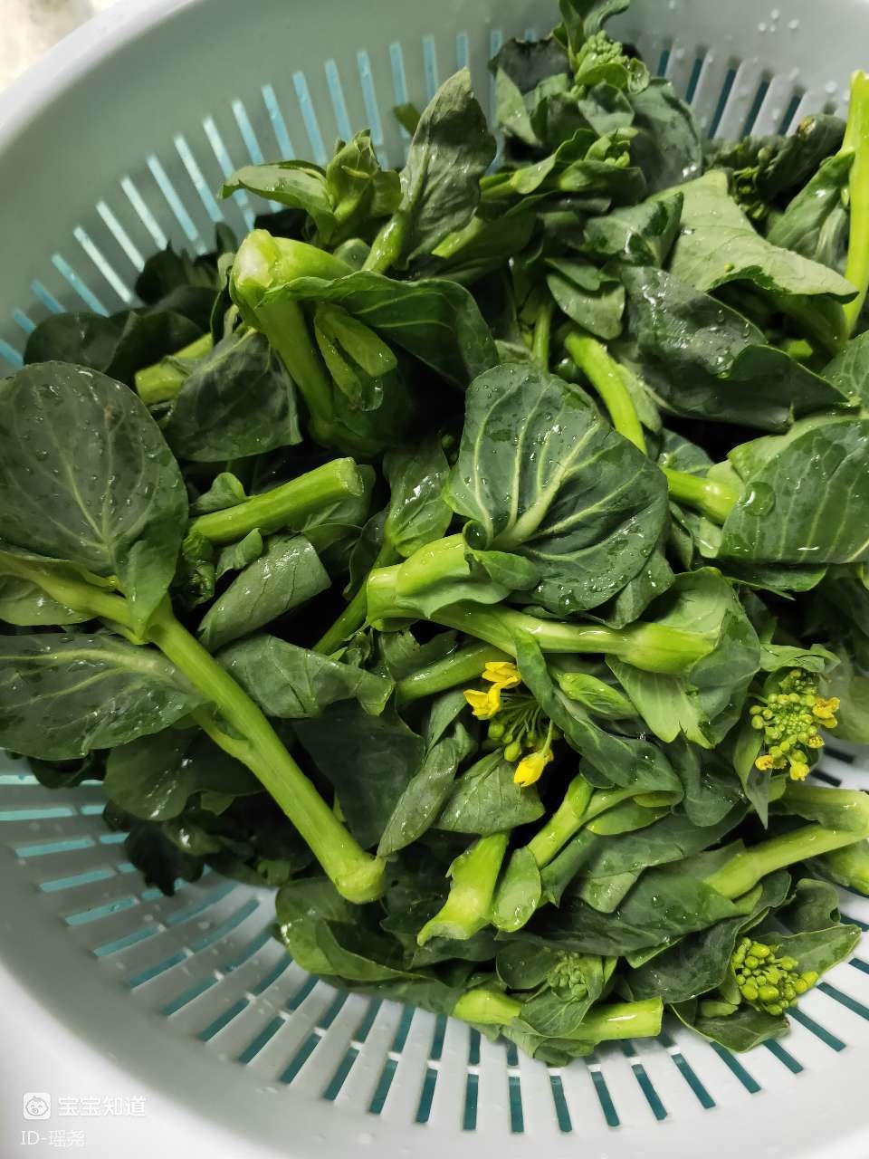 今日账单青菜心很好吃