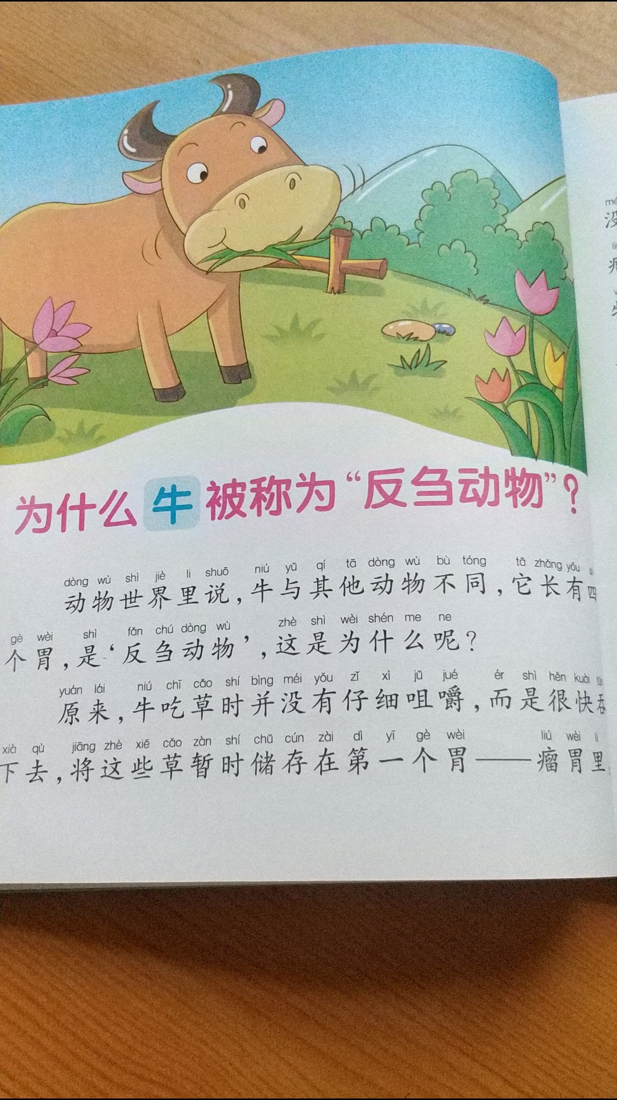 [朗读打卡]为什么牛被称为反刍动物