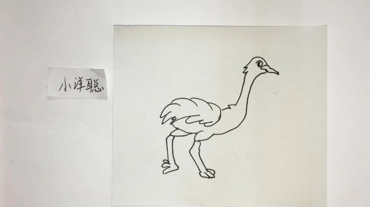 鸵鸟奔跑的简笔画图片