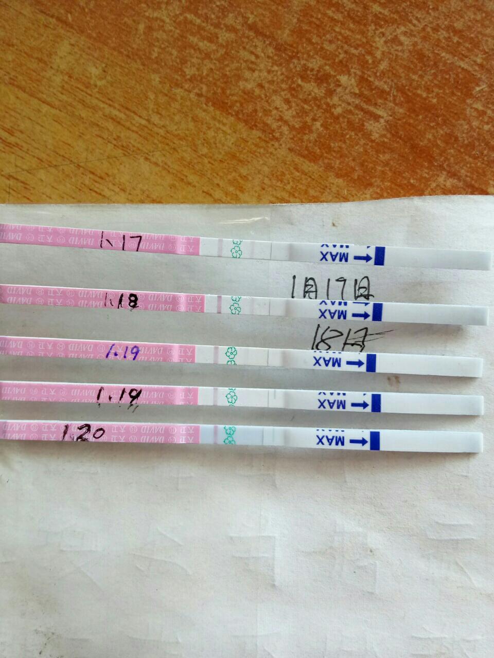 1.20测排卵,可提问