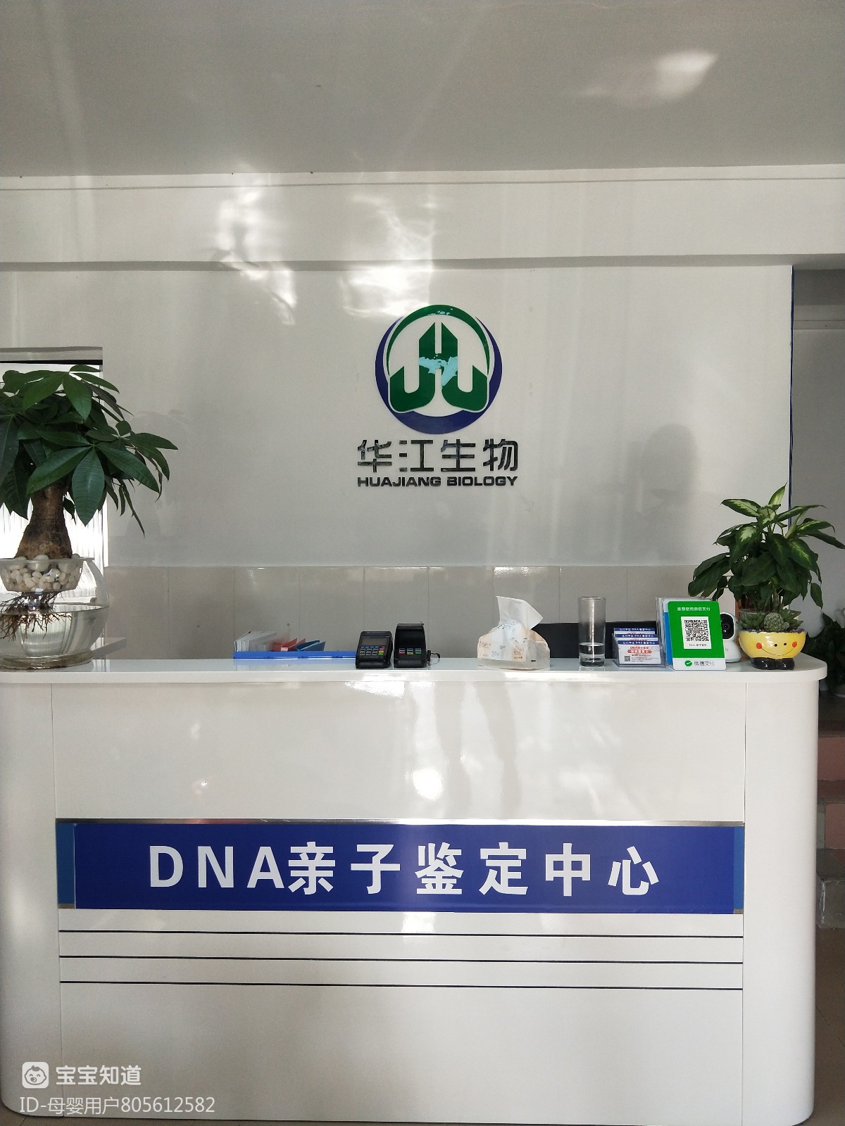 华江生物dna亲子鉴定 孕12周 2天lv.