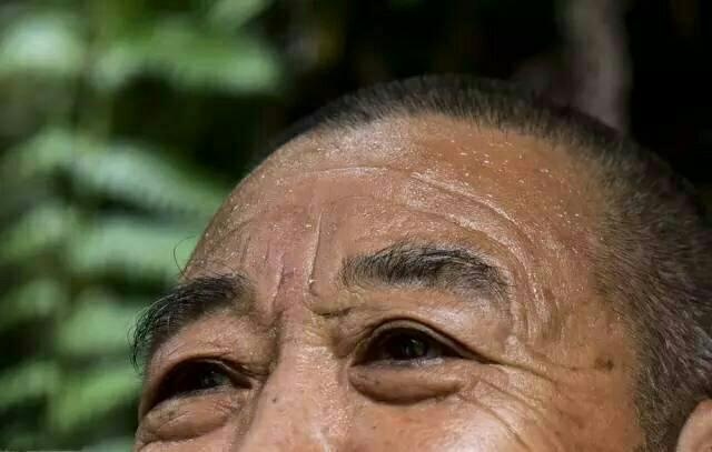 [人物风采]66岁的老人为纪念战友攀崖种树30年,将500亩荒山变成绿林