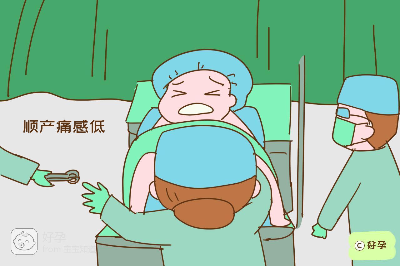 分娩的动漫,一般动画中的分娩场景(第3页)_大山谷图库