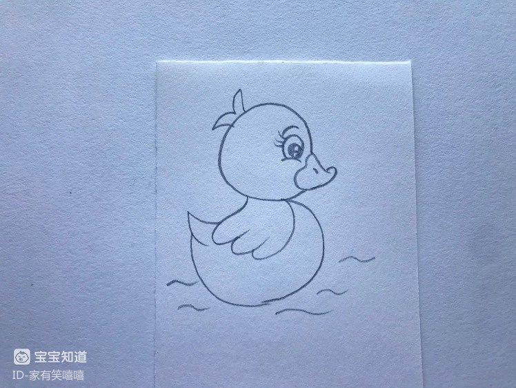 简笔画 一只游泳的小鸭子