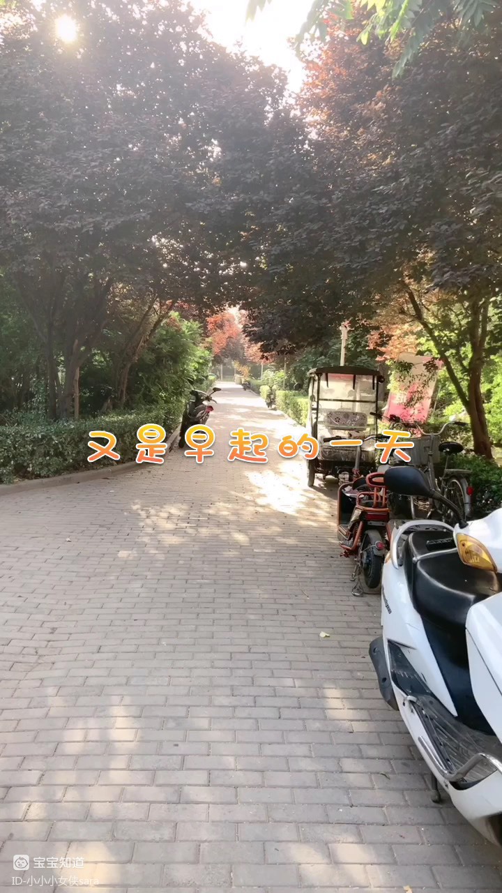 [早起打卡]又是早起的一天,上班去啦