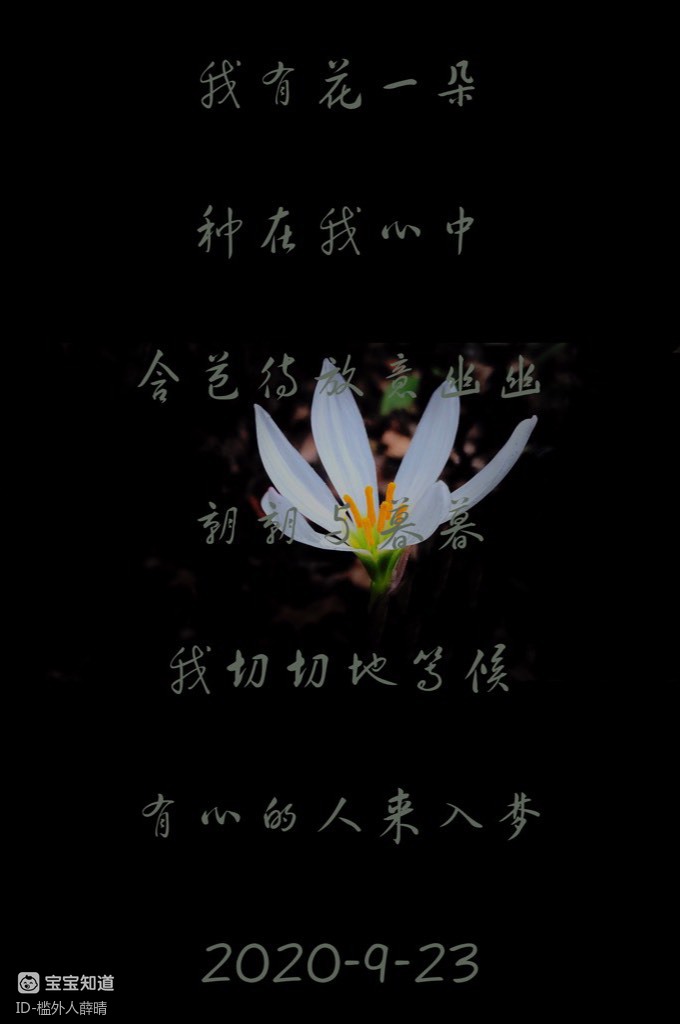 红色的葱兰黑暗系的心情