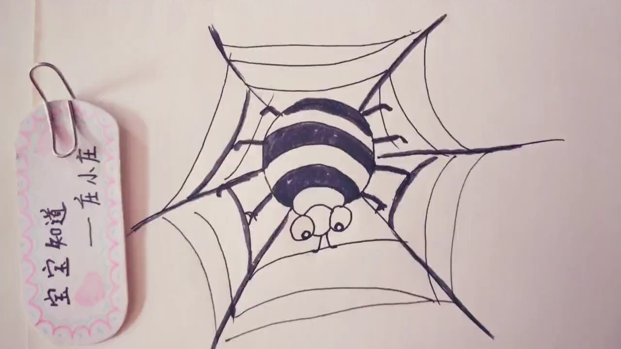 精 简笔画 条纹蜘蛛做好了一张大网