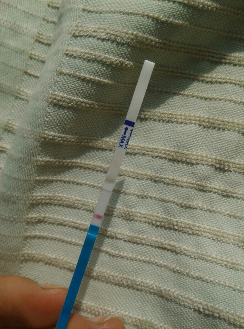 月经推迟10天了,刚刚用试纸显示没怀孕,我都一个多月没同房了,怎么