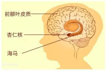 孩子闹情绪了怎么办育儿专家给你这3条建议