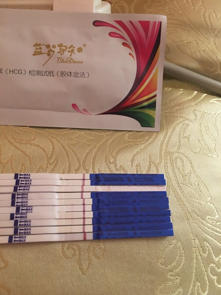 8 9楼 上张蓝梦孕知这几天的图  2016-11-23 18:16