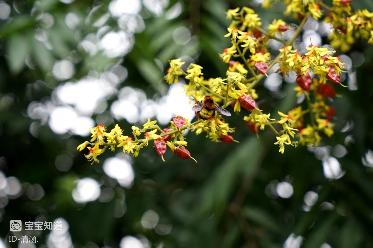 秋姑给咱们杭州送来了一望无垠的秋收果实留下阵阵芳香