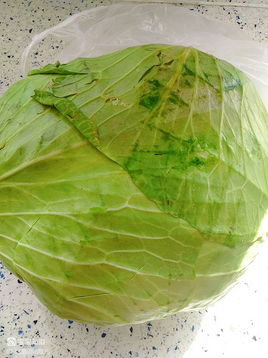 今日账单买了一个嘎达白