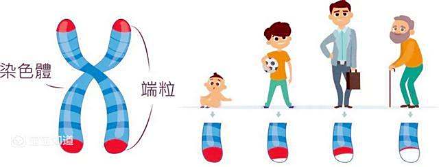 到美国生孩_到美国生娃多少钱_到美国生子得多少钱