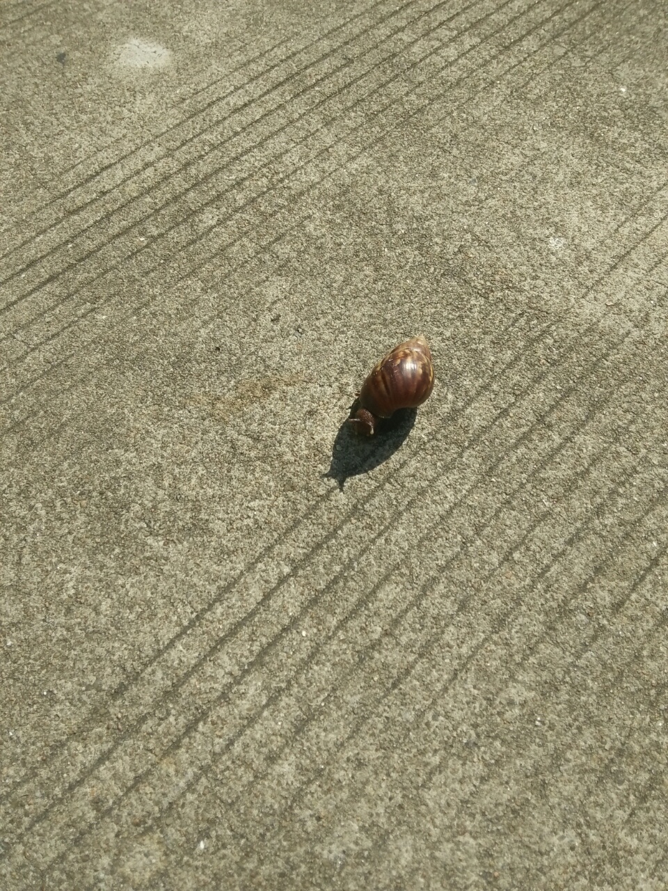 求助,宝宝的蛋蛋是有问题吗?