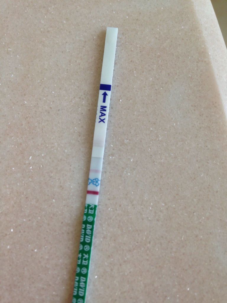排卵试纸测出来阳性,是怀孕了吗,图片是验孕纸