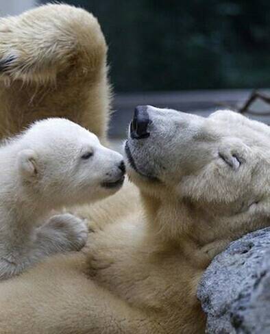 4楼 躺在你怀里,你睡着了,嘻嘻,那我就可以玩儿啦!先偷亲一个!