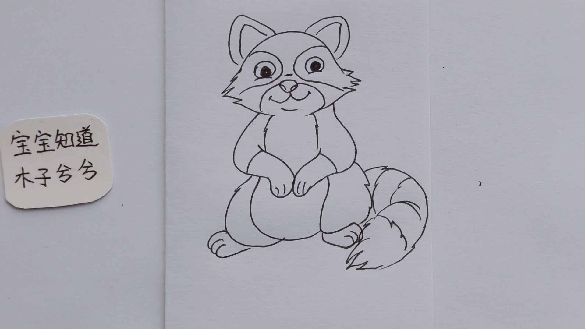 简笔画 画只坐在地上的小浣熊