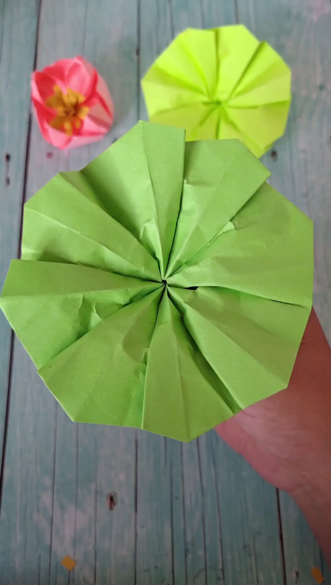 折纸手工大荷叶,栩栩如生