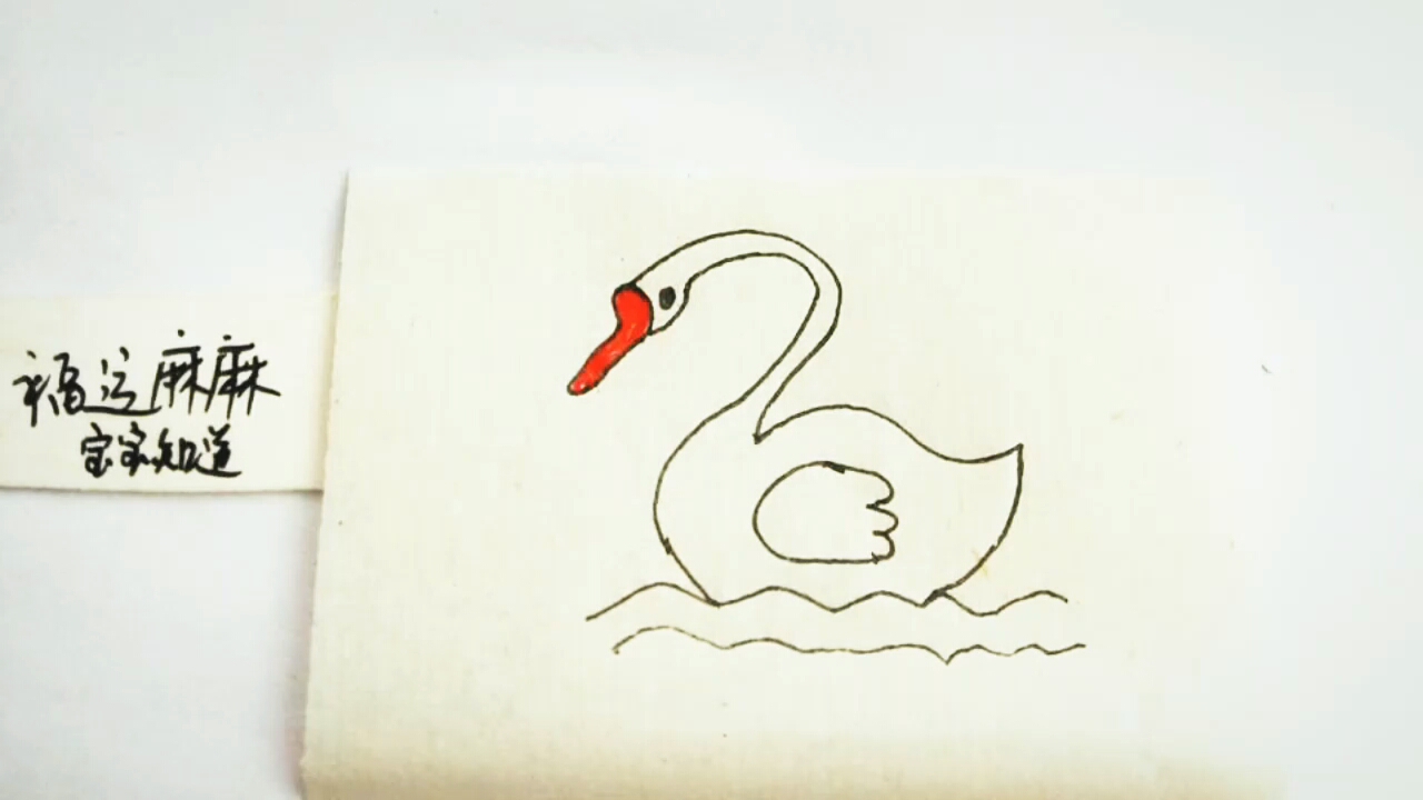 白鹅简笔画游泳图片