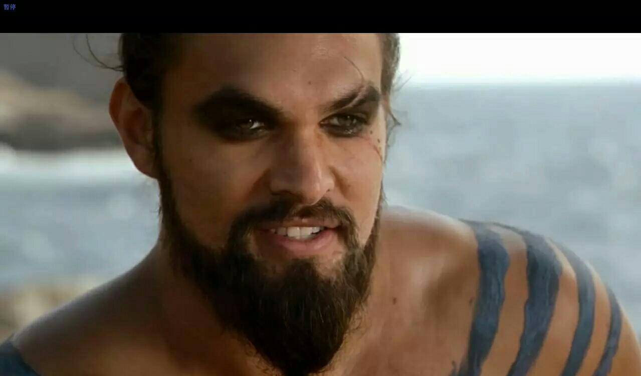 丹妮的哥哥把她献给一支游牧民族的首领卓戈,完全是美女与野兽.