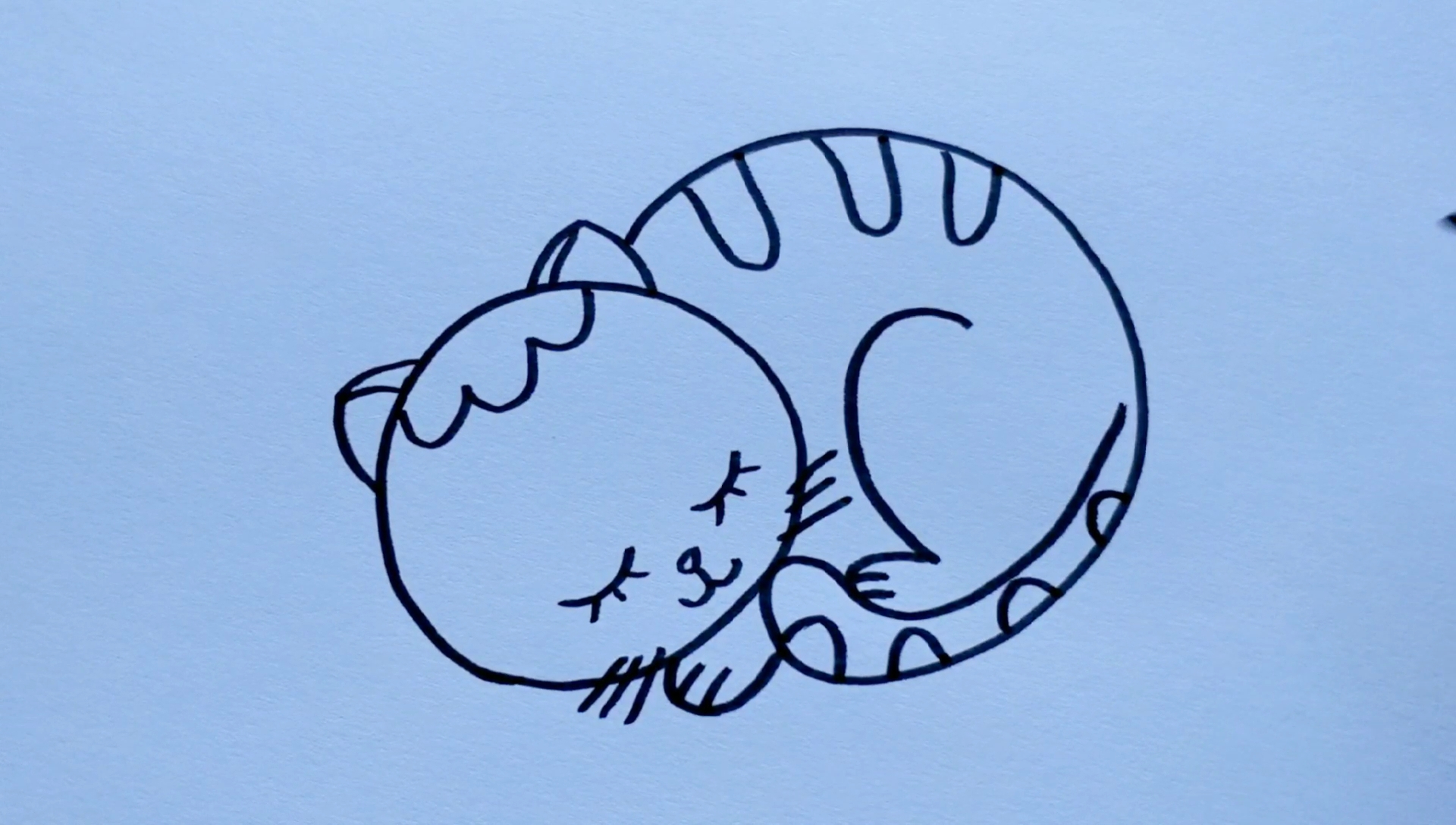 简单几笔画小猫