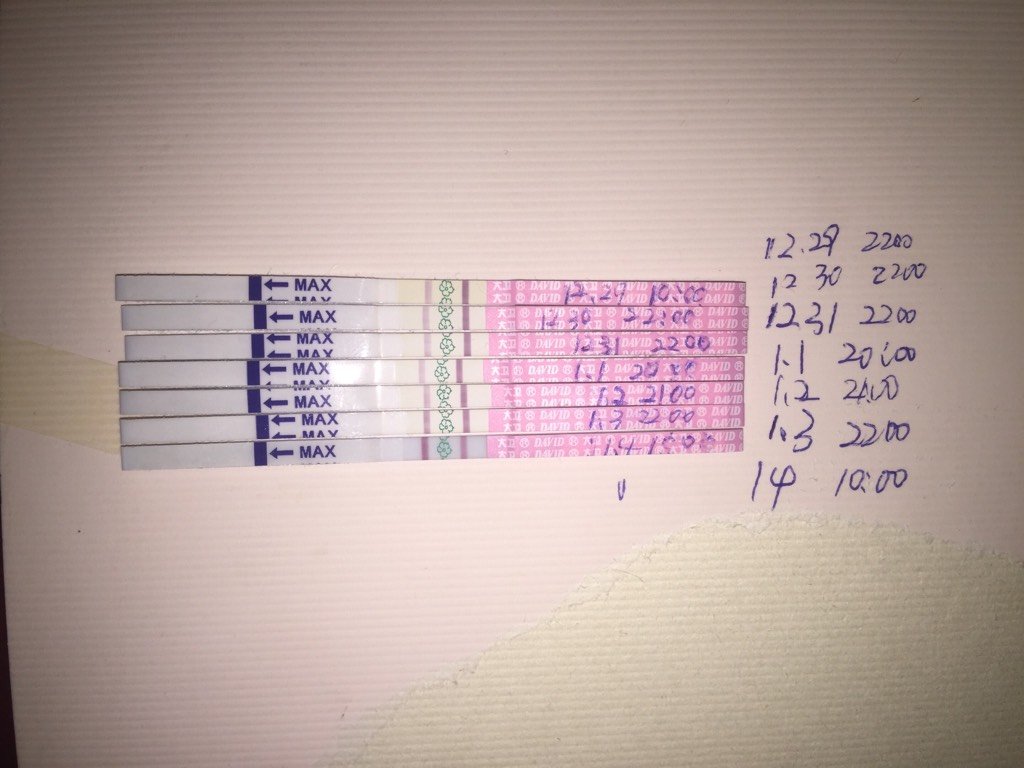 排卵试纸连续测试,弱阳变强阳了,看样子排卵晚了这是,11月18月经,1月4