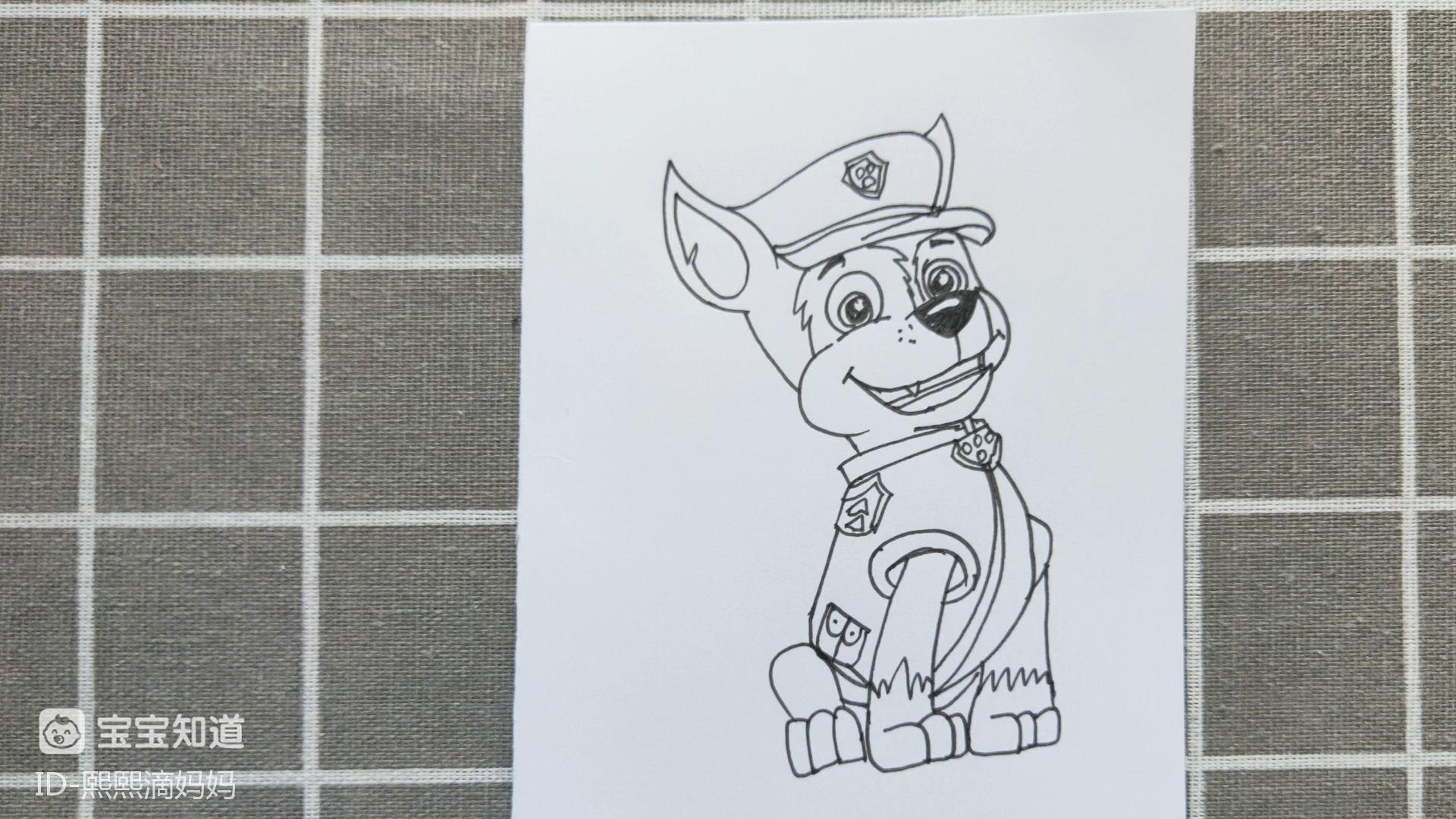 简笔画 画一只汪汪队的毛毛吧