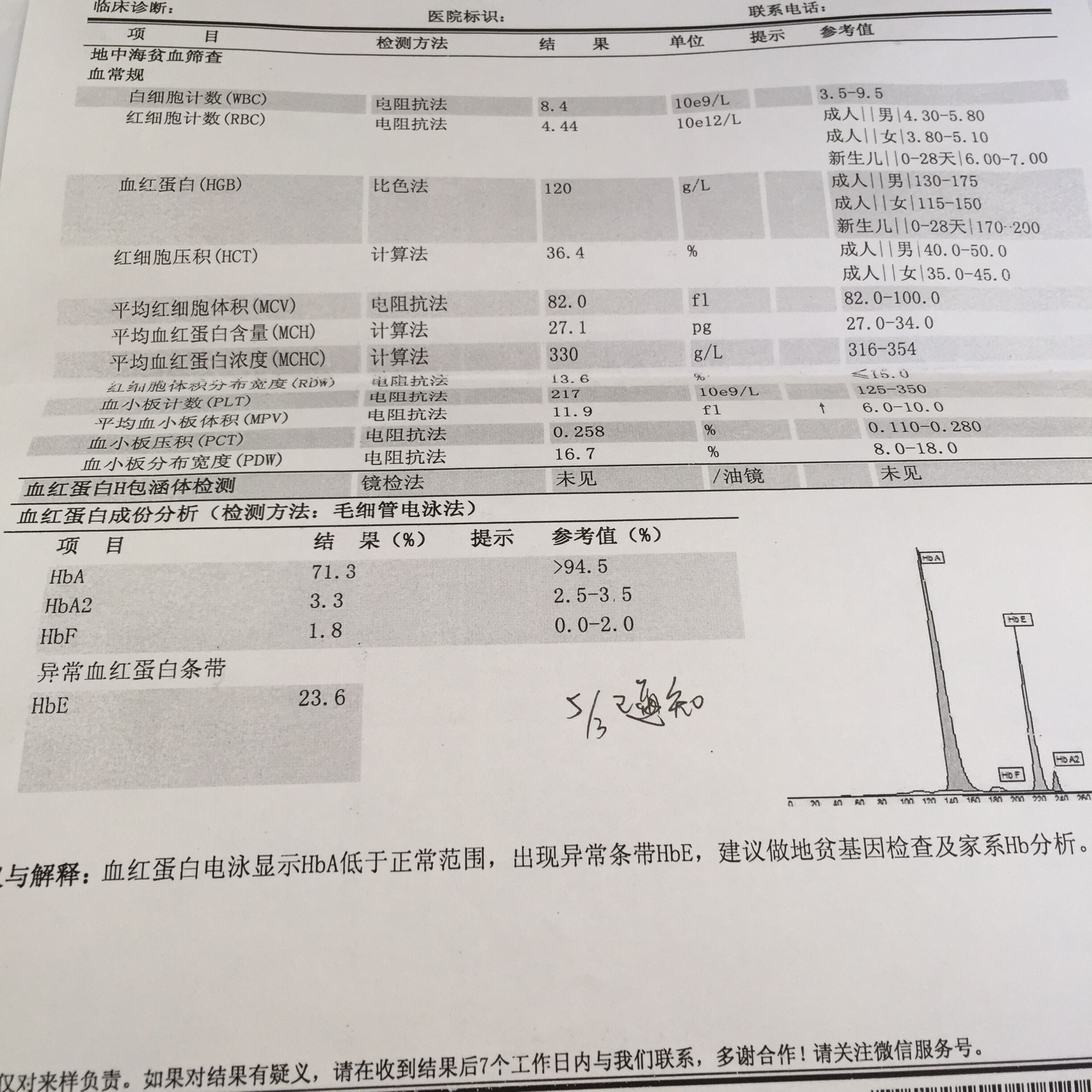 求助,怀孕中,地中海贫血检测结果问题