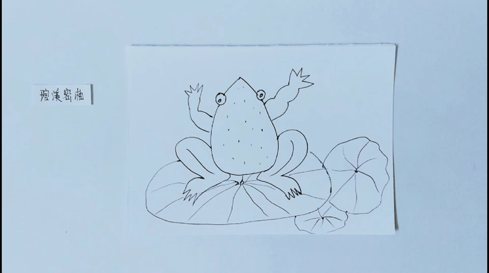 [简笔画]荷叶上有只呆萌的青蛙