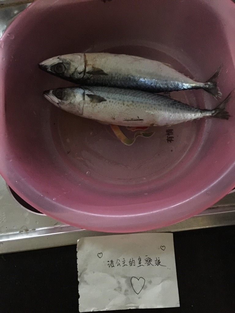 [营养膳食]红烧油桐鱼