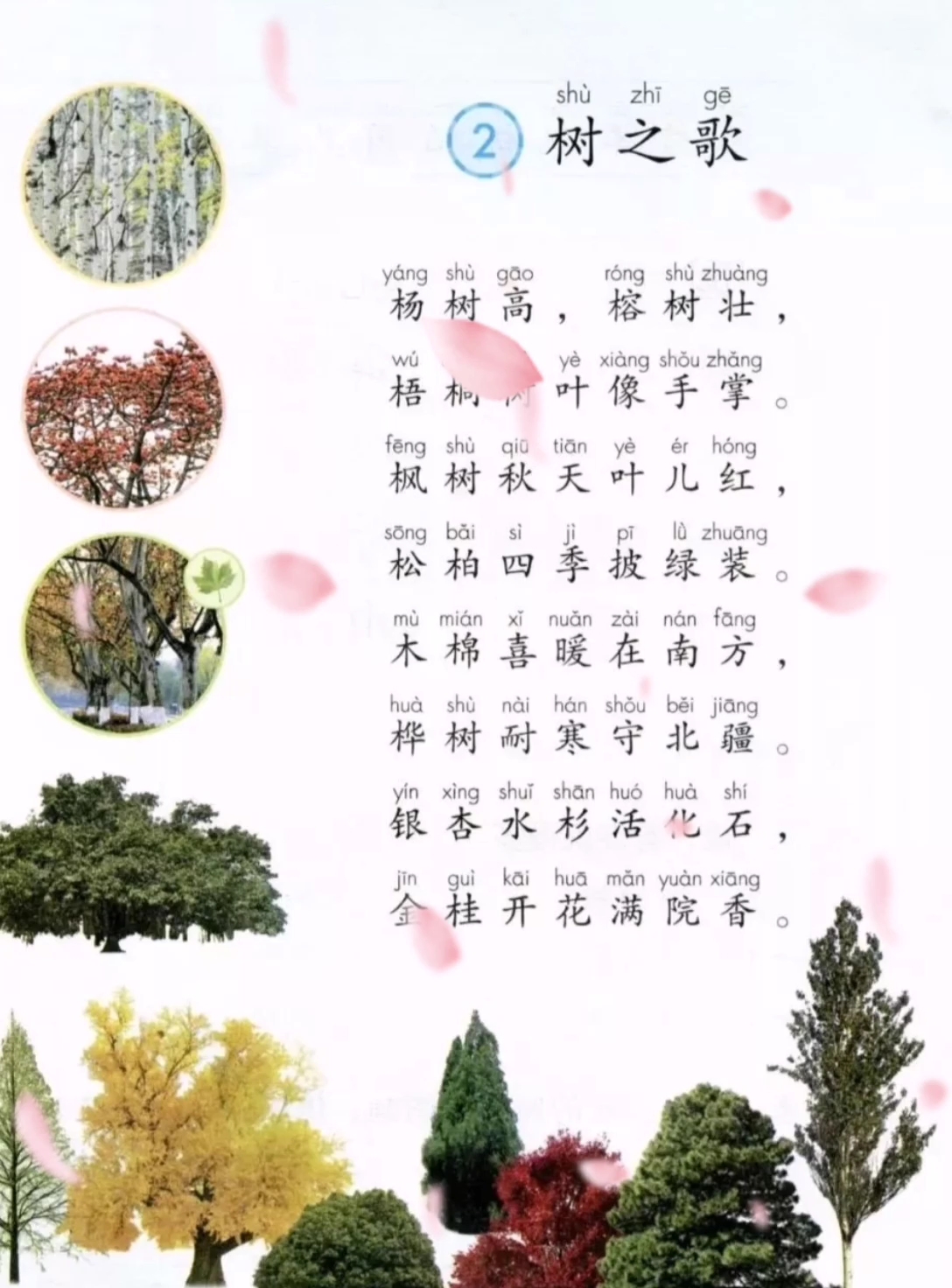 树之歌课文 原文图片