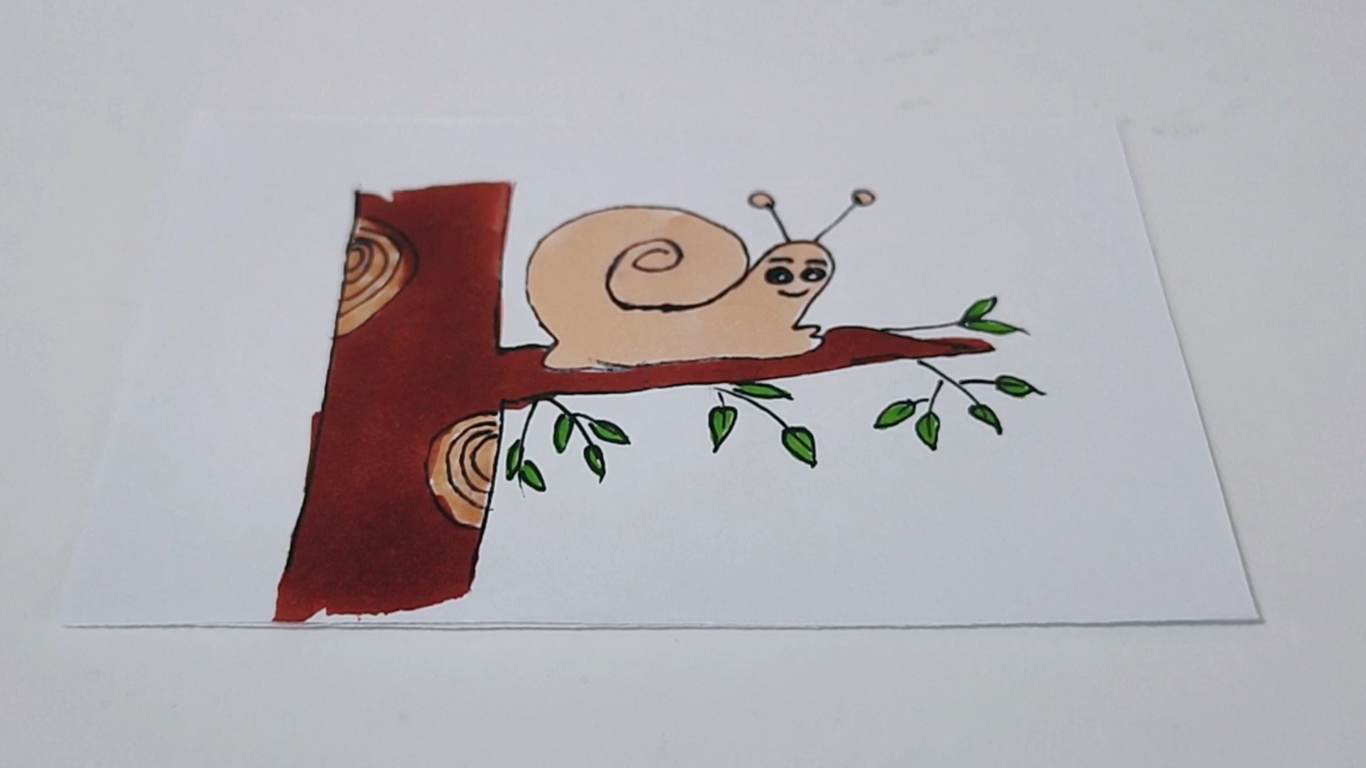 蜗牛爬树卡通图图片