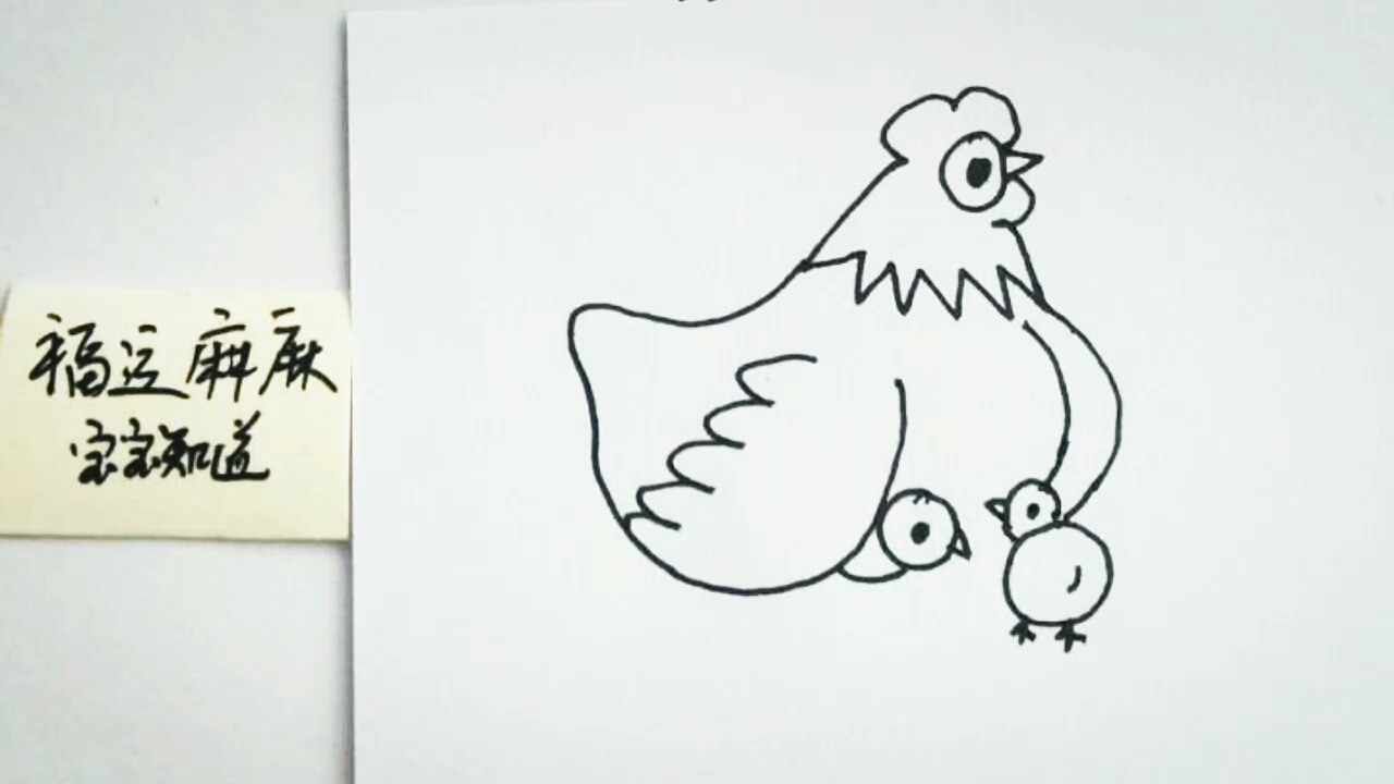 画画秀伟大的鸡妈妈时刻保护着小鸡